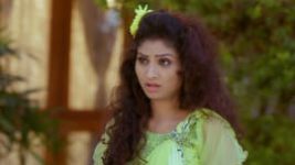 Trinayani (Telugu) S01E217 2nd February 2021 Full Episode