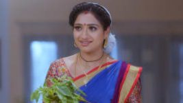 Trinayani (Telugu) S01E222 8th February 2021 Full Episode