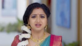 Trinayani (Telugu) S01E232 19th February 2021 Full Episode