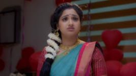 Trinayani (Telugu) S01E233 20th February 2021 Full Episode