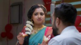 Trinayani (Telugu) S01E234 22nd February 2021 Full Episode