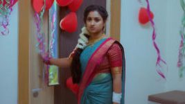 Trinayani (Telugu) S01E235 23rd February 2021 Full Episode