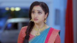 Trinayani (Telugu) S01E237 25th February 2021 Full Episode