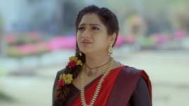 Trinayani (Telugu) S01E240 1st March 2021 Full Episode