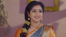 Trinayani (Telugu) S01E254 17th March 2021 Full Episode