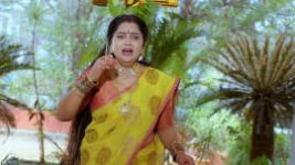 Trinayani (Telugu) S01E268 2nd April 2021 Full Episode