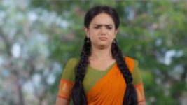 Trinayani (Telugu) S01E300 10th May 2021 Full Episode