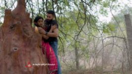 Trinayani (Telugu) S01E302 12th May 2021 Full Episode