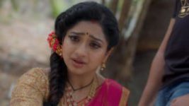 Trinayani (Telugu) S01E303 13th May 2021 Full Episode