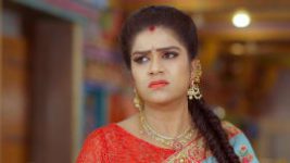 Trinayani (Telugu) S01E313 25th May 2021 Full Episode