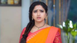 Trinayani (Telugu) S01E339 24th June 2021 Full Episode