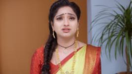 Trinayani (Telugu) S01E443 25th October 2021 Full Episode