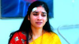 Trinayani (Telugu) S01E505 5th January 2022 Full Episode