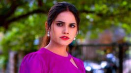 Trinayani (Telugu) S01E518 20th January 2022 Full Episode