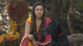 Tujhse Hai Raabta S01E361 21st December 2019 Full Episode