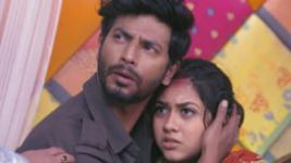 Tujhse Hai Raabta S01E379 14th January 2020 Full Episode