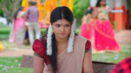 Vaidehi Parinayam S01E01 31st May 2021 Full Episode