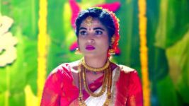 Vaidehi Parinayam S01E294 7th May 2022 Full Episode