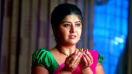 Vaidehi Parinayam S01E301 16th May 2022 Full Episode