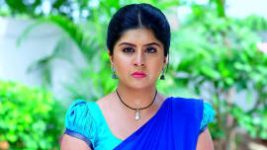 Vaidehi Parinayam S01E309 25th May 2022 Full Episode