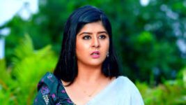 Vaidehi Parinayam S01E429 12th October 2022 Full Episode