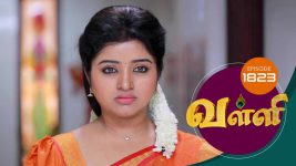 Valli S01E1821 3rd April 2019 Full Episode