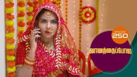 Vanathai Pola S01 E250 18th October 2021