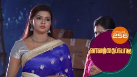 Vanathai Pola S01 E256 25th October 2021