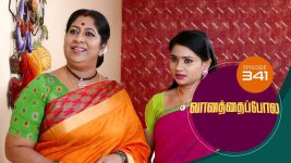 Vanathai Pola S01 E341 3rd February 2022