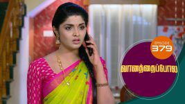 Vanathai Pola S01 E379 19th March 2022