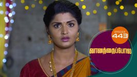 Vanathai Pola S01 E443 3rd June 2022