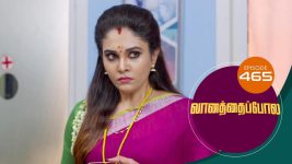 Vanathai Pola S01 E465 28th June 2022