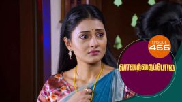 Vanathai Pola S01 E466 29th June 2022