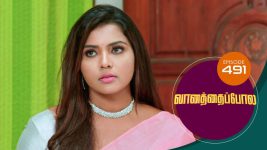 Vanathai Pola S01 E491 28th July 2022