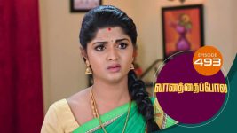 Vanathai Pola S01 E493 30th July 2022