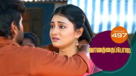 Vanathai Pola S01 E497 4th August 2022