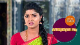 Vanathai Pola S01 E513 23rd August 2022