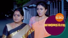 Vanathai Pola S01 E530 10th September 2022