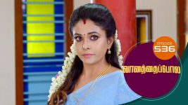 Vanathai Pola S01 E536 17th September 2022