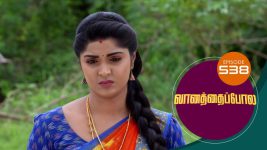 Vanathai Pola S01 E538 20th September 2022