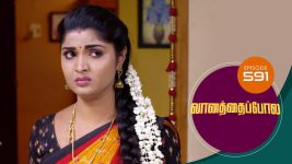 Vanathai Pola S01 E591 22nd November 2022