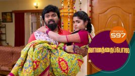 Vanathai Pola S01 E597 29th November 2022