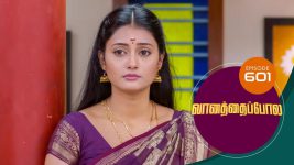 Vanathai Pola S01 E601 3rd December 2022