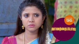 Vanathai Pola S01 E96 29th March 2021