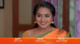 Amudhavum Annalakshmiyum S01 E177 1st February 2023