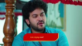 Avunu Valliddaru Istapaddaru S01 E25 Dilli in a fix