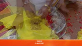 Karthigai Deepam S01 E33 17th January 2023