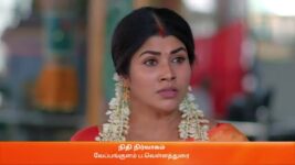 Karthigai Deepam S01 E46 31st January 2023