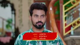 Malli Nindu Jabili S01 E282 Malli in a Happy Place