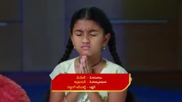 Paape Maa Jeevana Jyothi S01 E526 Vidya Prasad Is Back